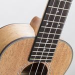 ukulele-concerto-kal-320-cm