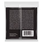corda-010-para-guitarra-regular-slinky-stainless-steel-ernie-ball