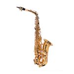 saxofone-alto-dourado-dominante