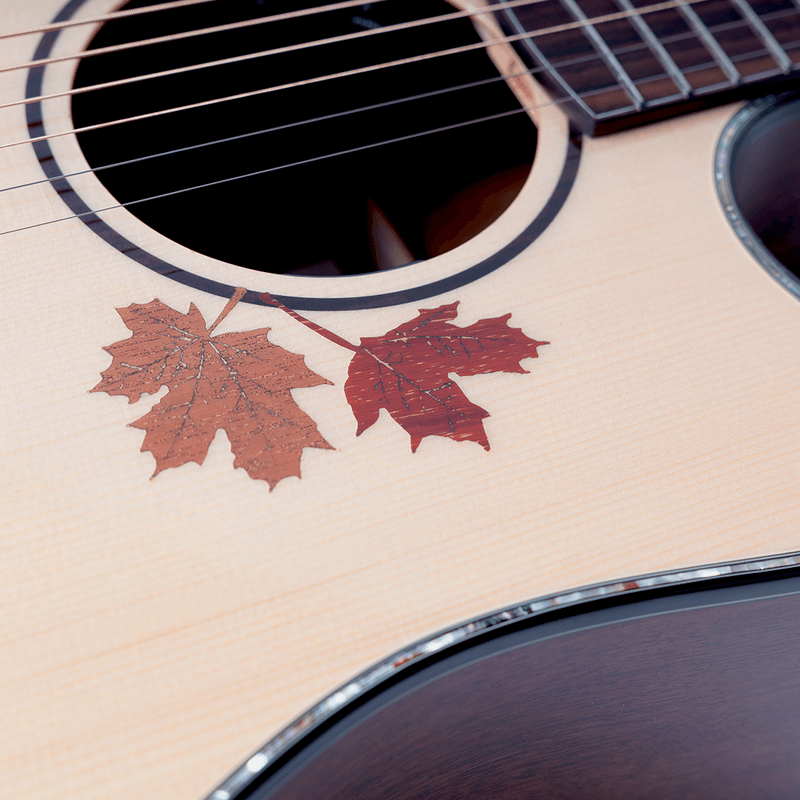 16973-VIOLAO FOLK CUTAWAY TSOLID SPRUCE BSOLID MOGNO EQ DS-2 PRO AL D-MAHOCE C BAG M-LINE CRAFTER -5-