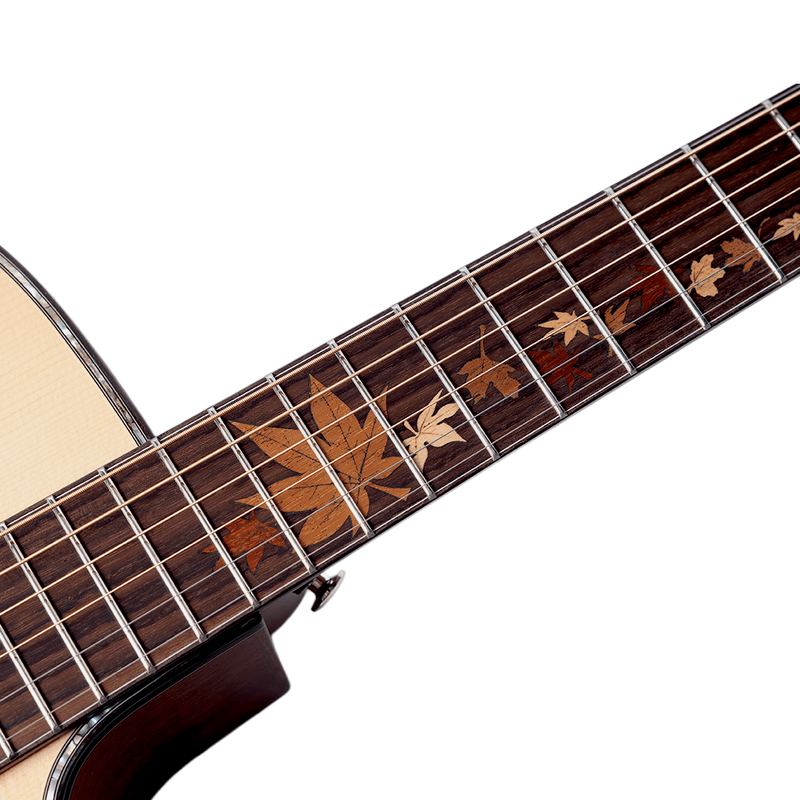 16973-VIOLAO FOLK CUTAWAY TSOLID SPRUCE BSOLID MOGNO EQ DS-2 PRO AL D-MAHOCE C BAG M-LINE CRAFTER -7-