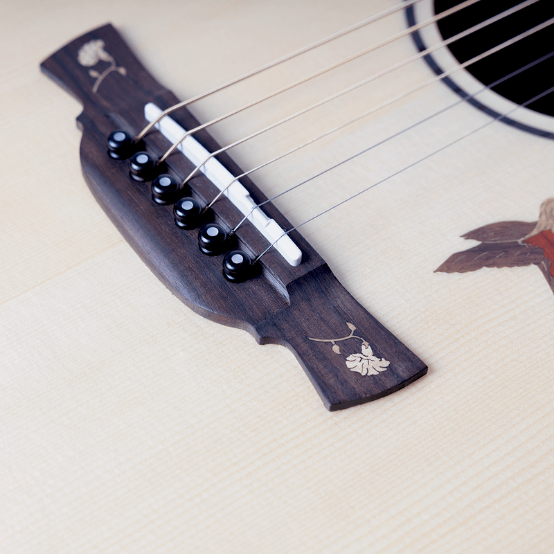 16974-VIOLAO FOLK CUTAWAY TSOLID SPRUCE BSOLID MOGNO EQ DS-2 PRO TB D-MAHOCE C BAG M-LINE CRAFTER -8-